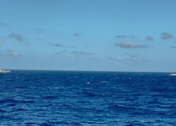 Πολεμικό Ναυτικό – Μήνυμα έναντι του Αναθεωρητισμού –  Σοκαριστικά πλάνα βολών από Κατευθυνόμενα Βλήματα Harpoon, Exocet, ESSM, Sea Sparrow και RAM