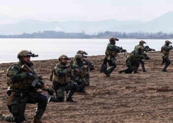 Διεξαγωγή Άσκησης «STEADFAST DART 25» Media Day