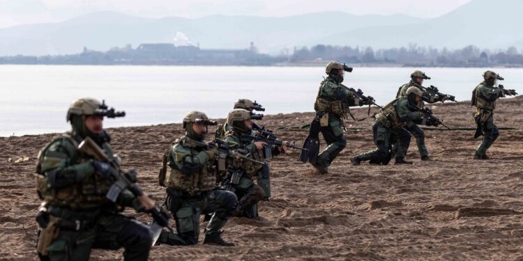 Διεξαγωγή Άσκησης «STEADFAST DART 25» Media Day