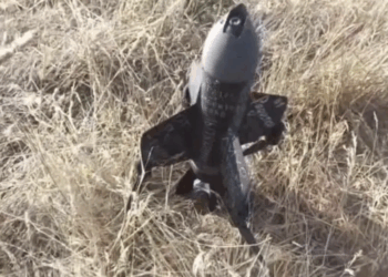 «Arkhangel»: Nέο ρωσικό drone αναχαίτισης – Επιχειρησιακές δοκιμές στο Κουρσκ για την αντιμετώπιση ουκρανικών UAV